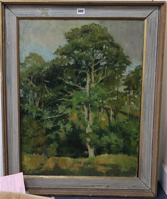 Bernard Dunstan, oil on canvas, Trees beside a stream, initialled, 69 x 52cm